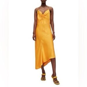 All Saints Alexia dress